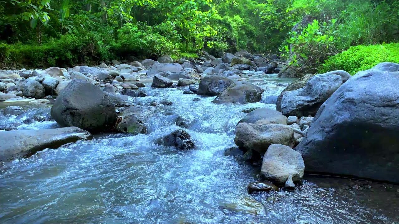 Soothing River Sounds for Deep Sleep, Stress Relief & Relaxation | Water Sounds