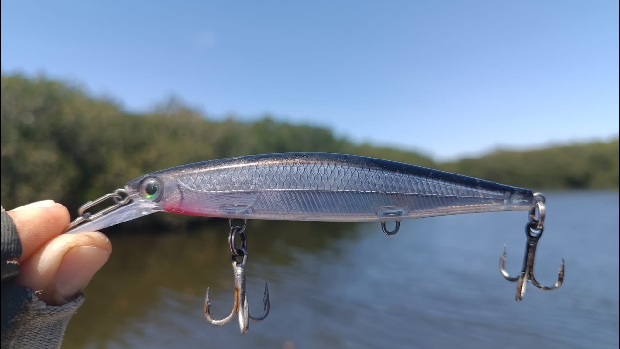 Currycan Rapala para el ROBALO
