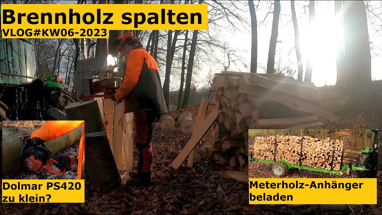 Rotbuche Brennholz spalten und verladen, Dolmar PS420 im Einsatz, VLOG#KW06-2023 Special