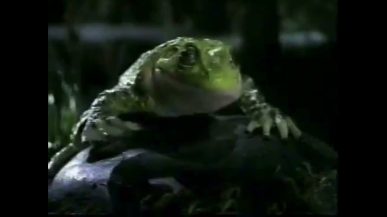 Budweiser Beer Frog and Lizard Commercial 11