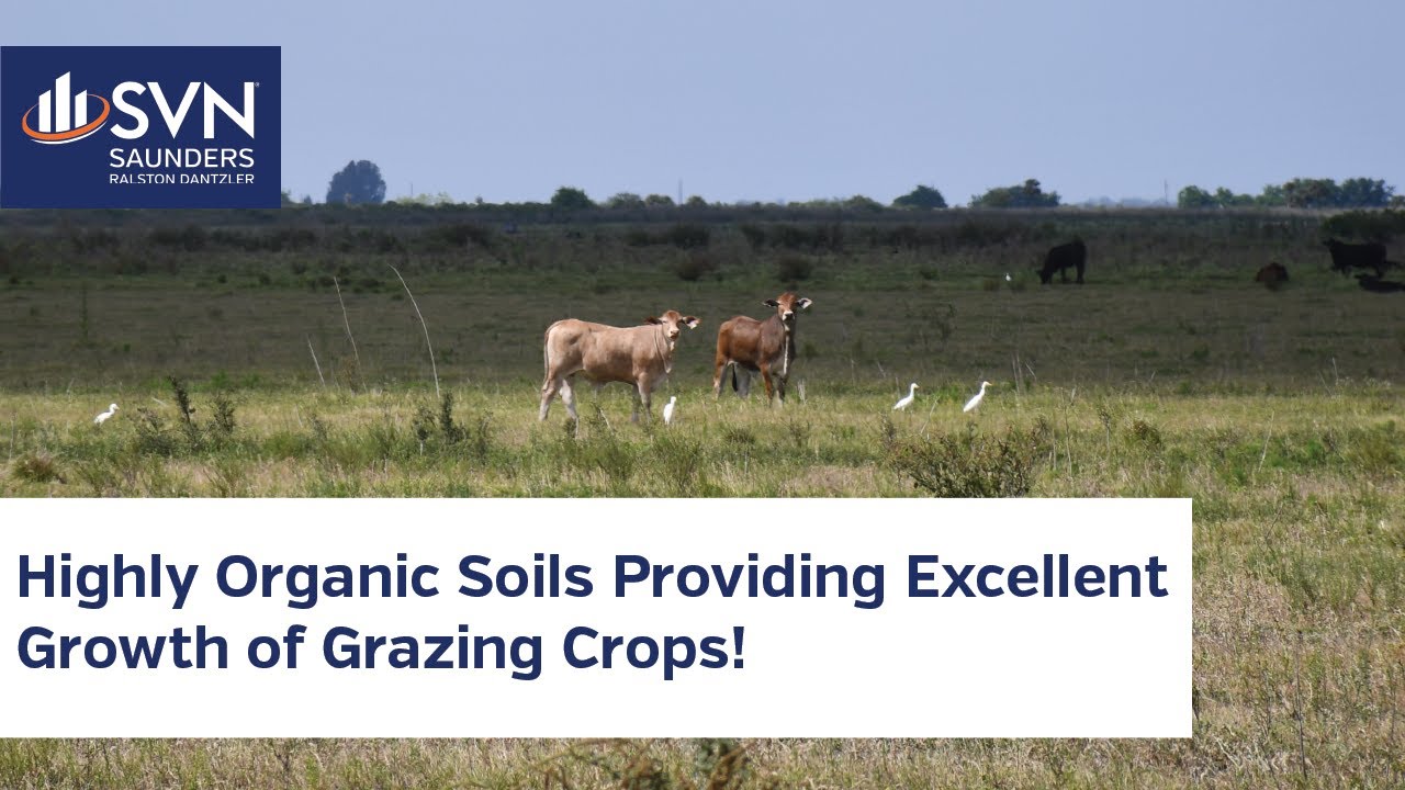 Premier - Sunray Farms 4,151 Acres of Farmland FOR SALE in Lake Placid, FL.
