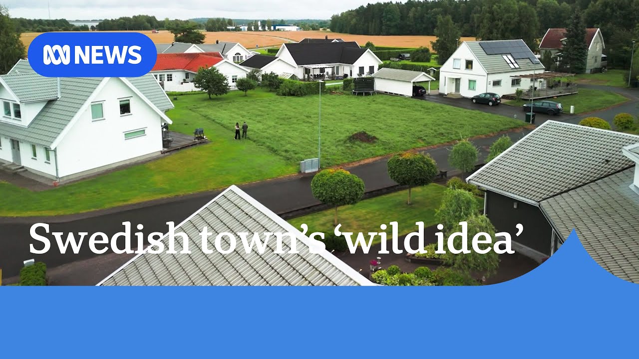 Rural Swedish town selling plots of land for price of cup of coffee | ABC News