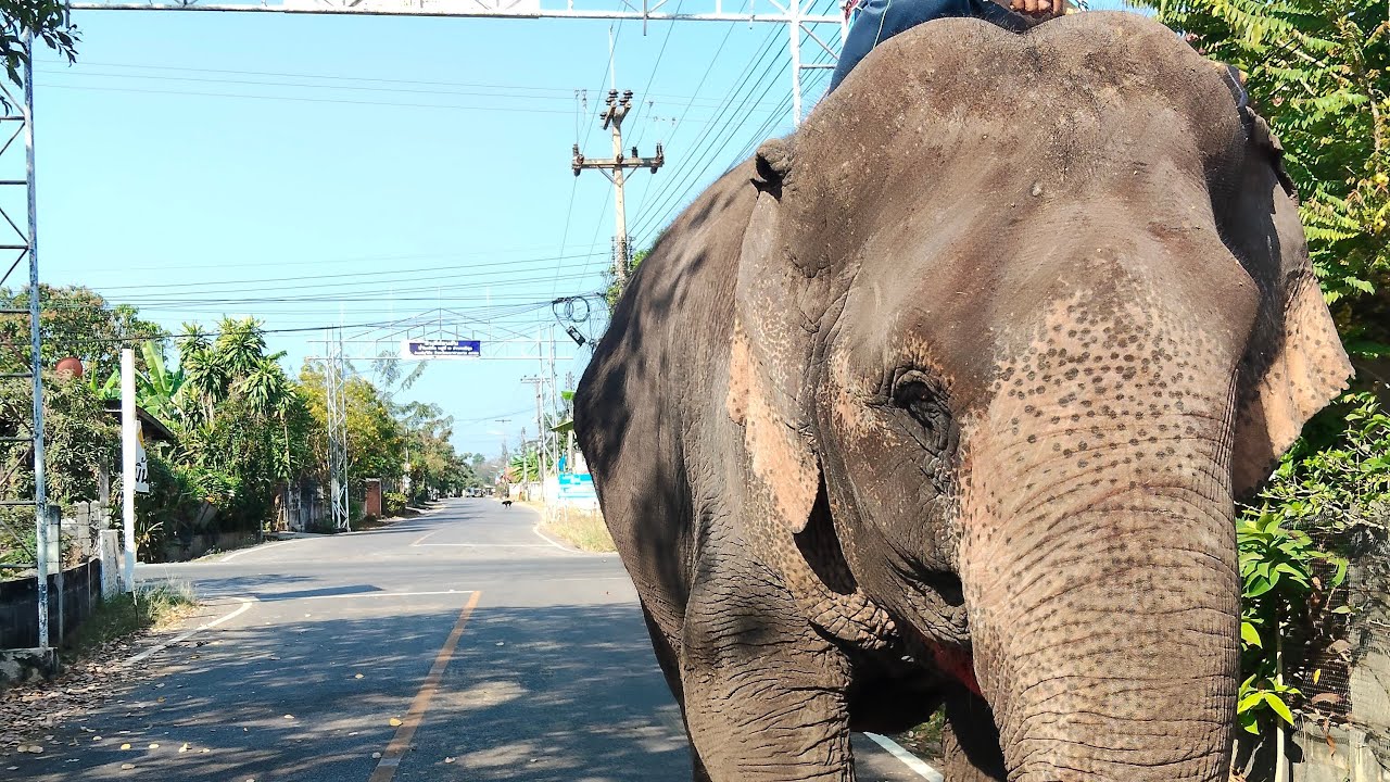 ศรีนวลพาทัวร์จ้า