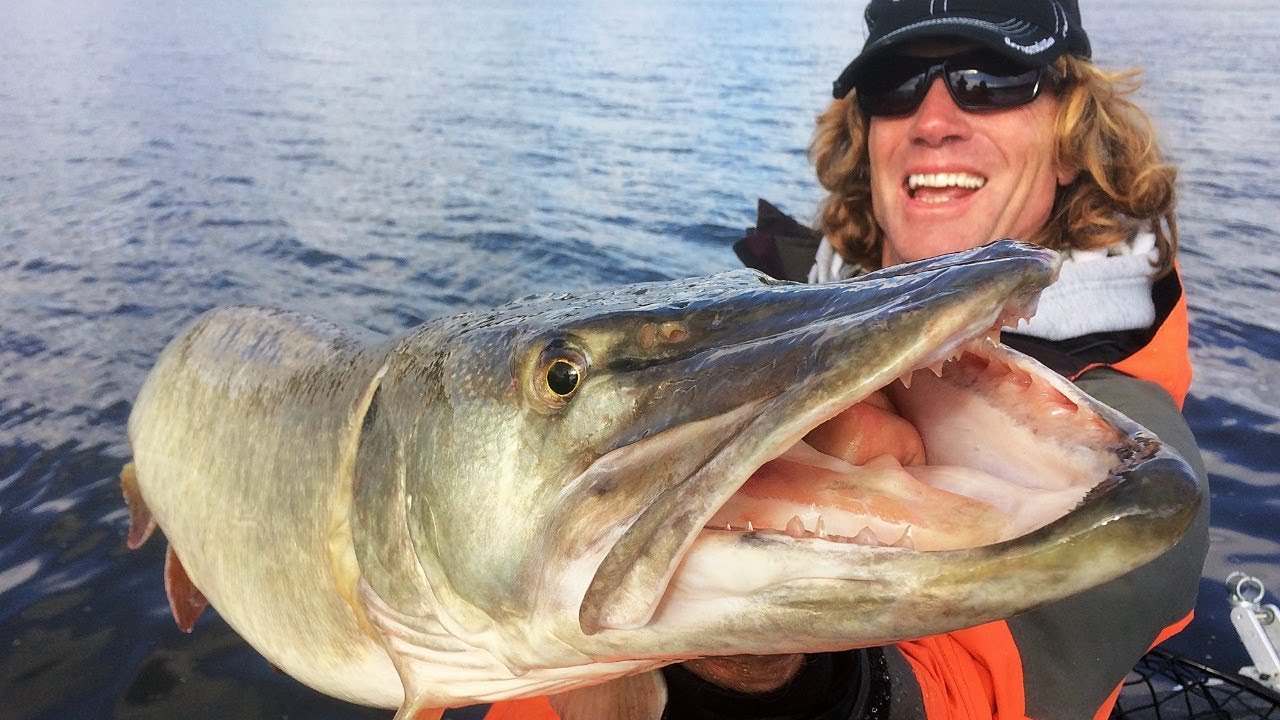 Pete Maina - The Experience Factor: Musky Monday Seminar Series
