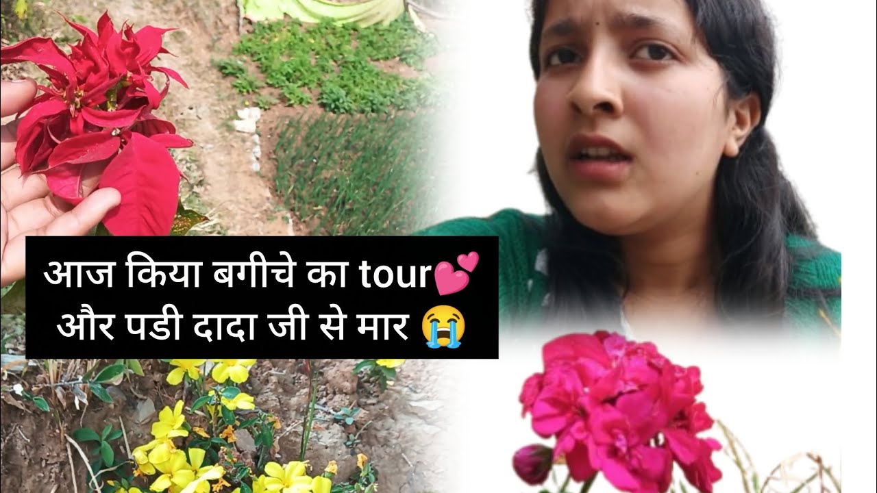आज किया बगीचे का tour#phadi #vlog #explorepage #funny @HinuVlogsUttarakhandi 
