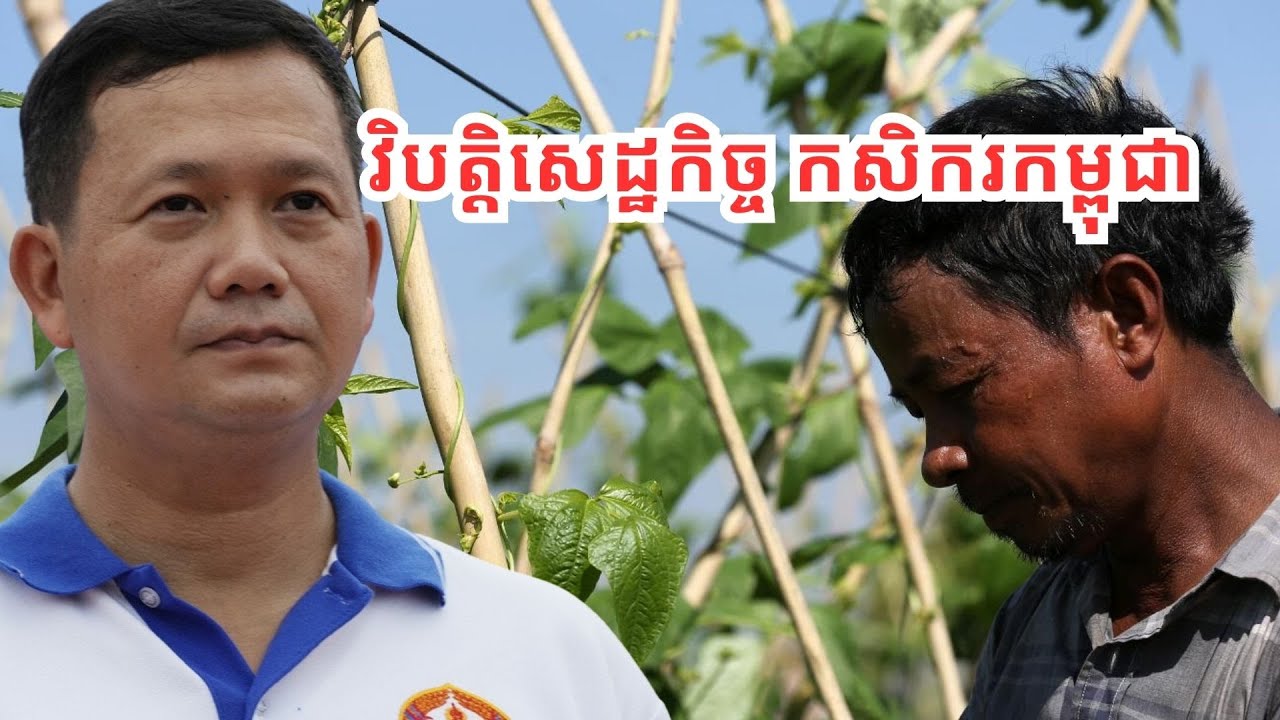 វិបត្តិសេដ្ឋកិច្ច​កសិករ​កម្ពុជា/Farmer Income Crisis