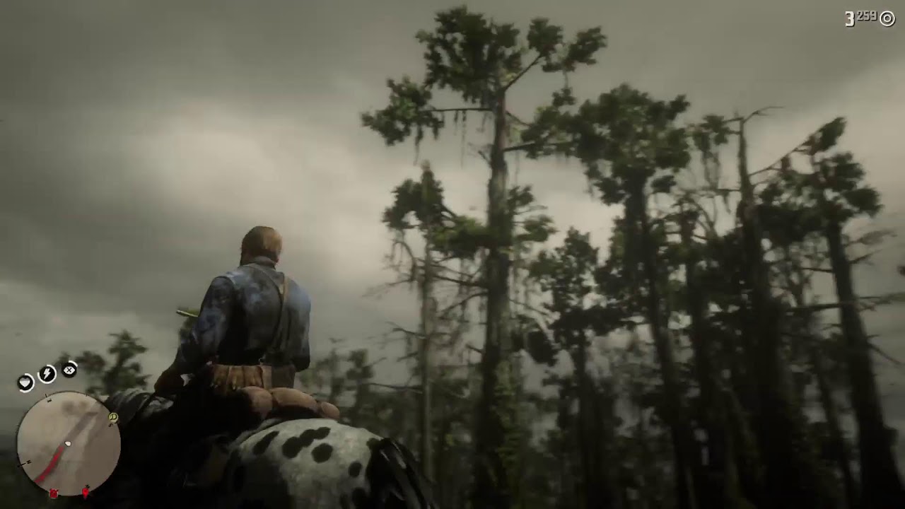Red Dead Redemption 2 high Honer