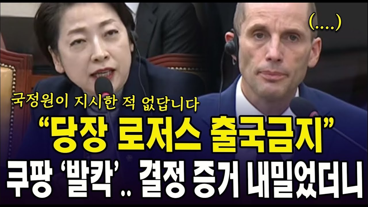 "당장 로저스 출국금지".. 쿠팡 '발칵', 결정 증거 내밀었더니..
