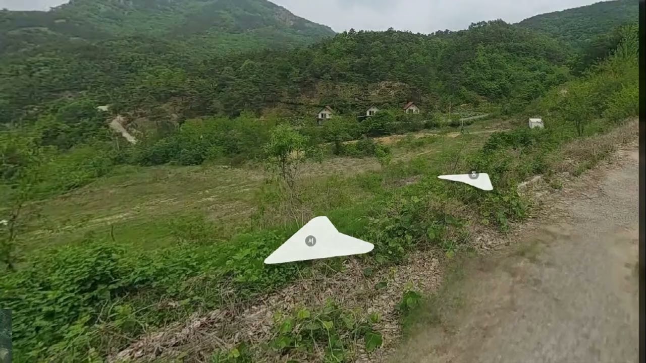 금산군 제원면 천내리 임야경매.  경매의 꽃 김 명희이시 해냄법률경매 