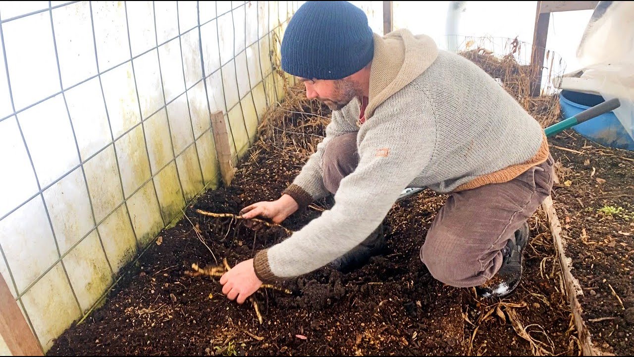 Compost Heated High Tunnel - Simplifying every step