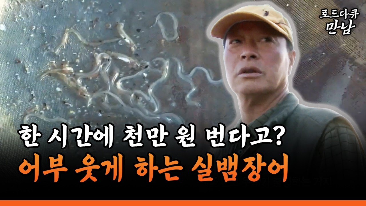[로드다큐 만남 82-1] 한 시간에 천만 원 번다고? 어부 웃게 하는 실뱀장어