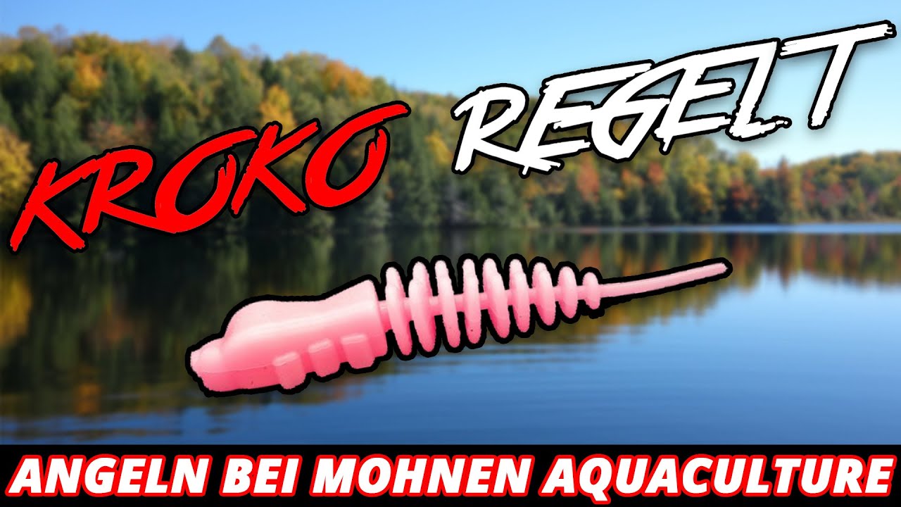 Die Rache der Kupferforelle !!! | KROKO REGELT | Mohnen Aquaculture