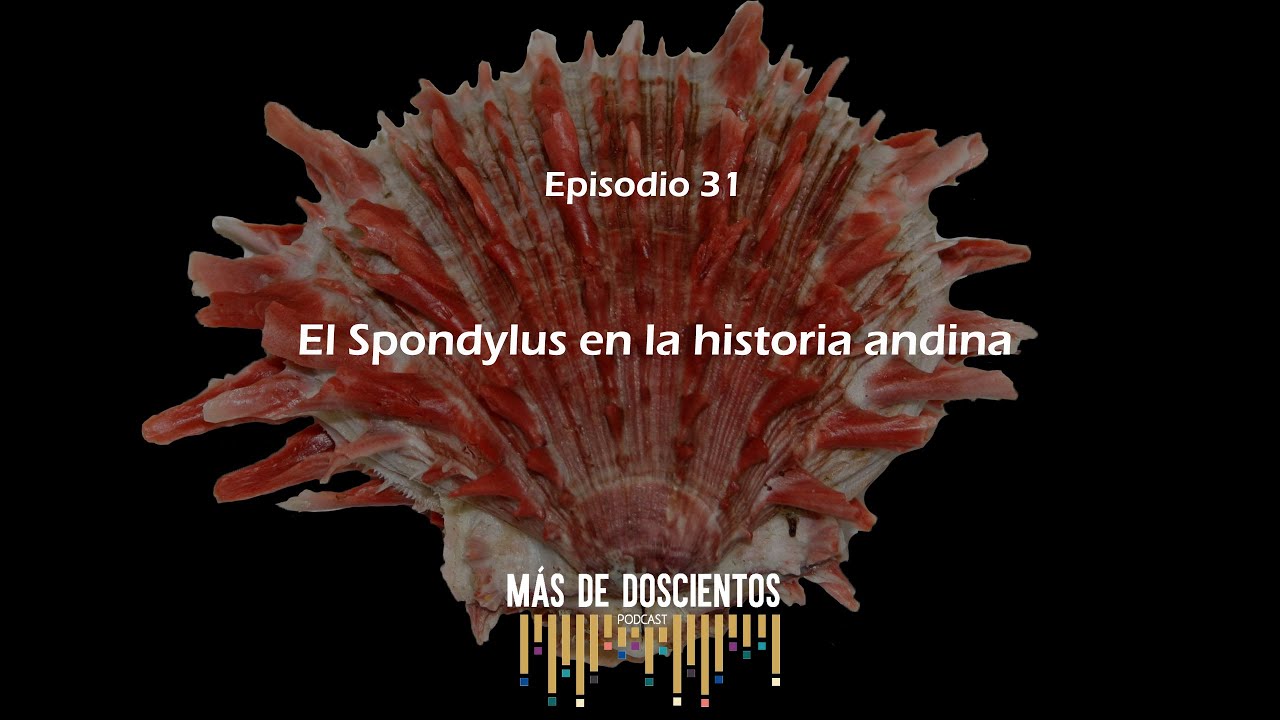 El Spondylus en la historia andina|Más de Doscientos-Episodio 31