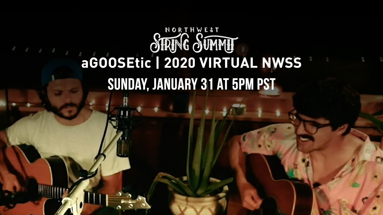 String Summit Streams: Rick & Peter (aGOOSEtic)