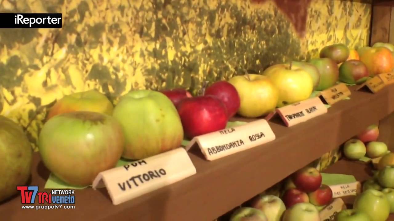 FRUTTI ANTICHI
