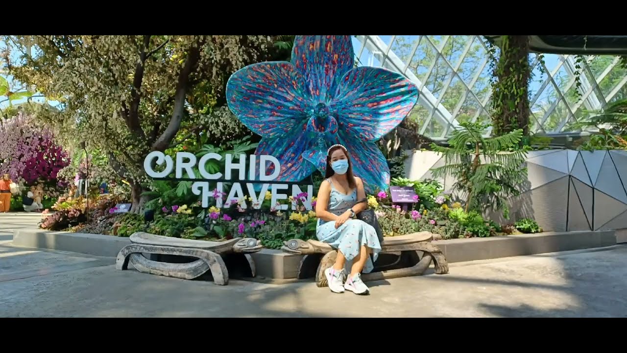 CLOUD FOREST ADVENTURE PART II 🇸🇬  #cloudforest #singapore #touristplace #touristspot#nature 💚
