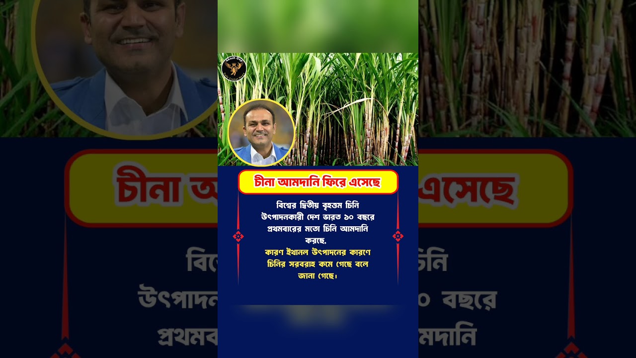 চিনা আমদানি ফের কমেছে! 🍬🇮🇳#Sugar #SugarImport #IndiaNews #BusinessNews .