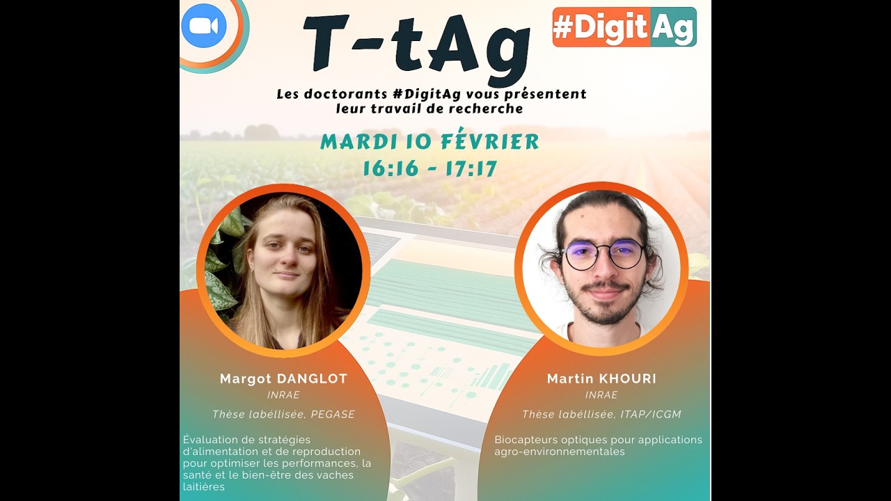 T tAg 10 02 2026