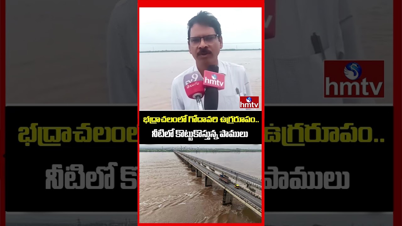 నీటిలో కొట్టుకొస్తున్న పాములు |  Godavari Flood Alert