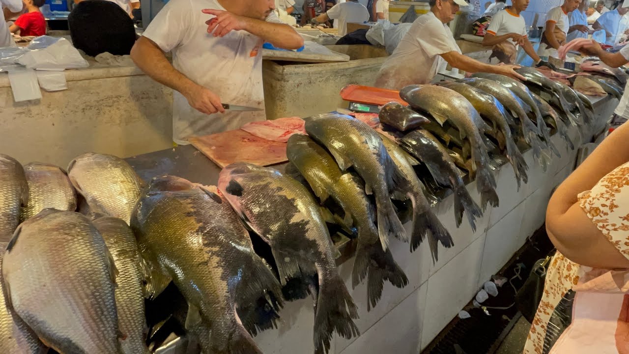 Na maior feira de peixes, delícias e farturas do Amazonas #feiramanausmoderna #manausamazonas