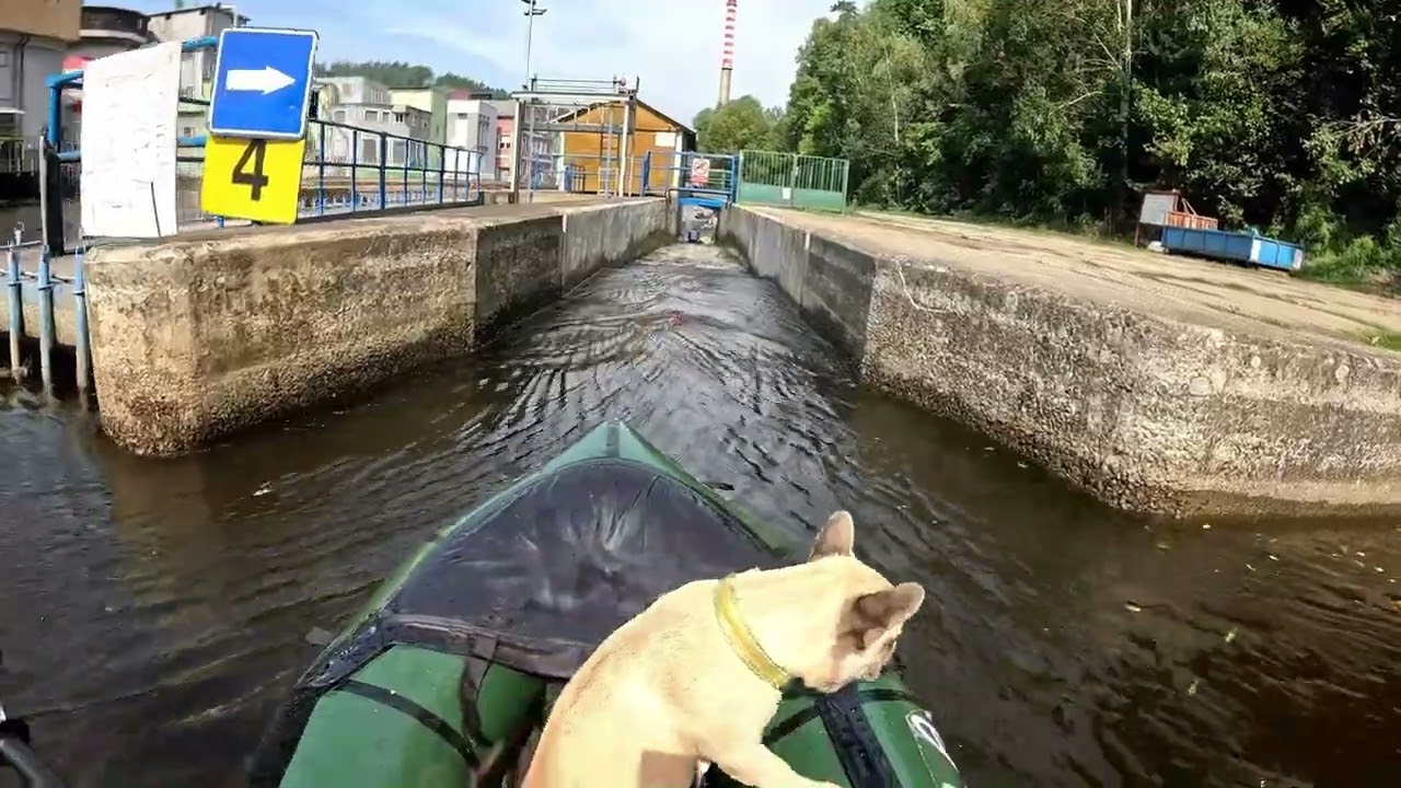 MRS Microraft Packraft Cesky Krumlov/Vltava French Bulldog