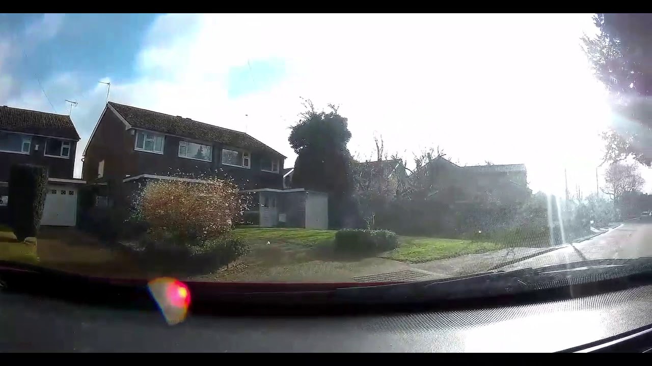 Garretts Green Stinkers 12