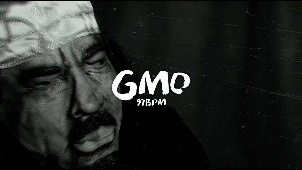 (FREE) Metah & Provokind Type Beat - GMO | prod. @indycorp