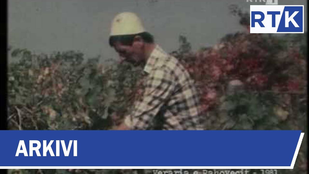ARKIVI – VERARIA E RAHOVECIT – 1981 23.01.2017