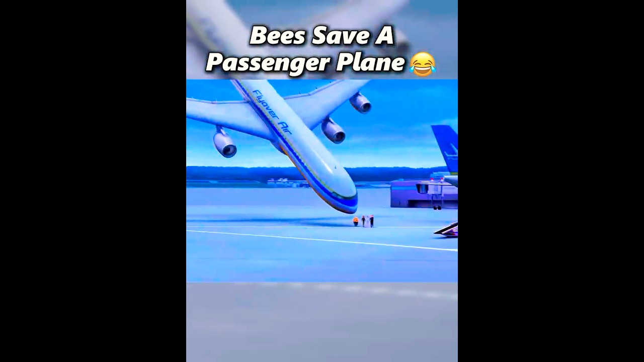 Bees Save Passenger Airplane 😧