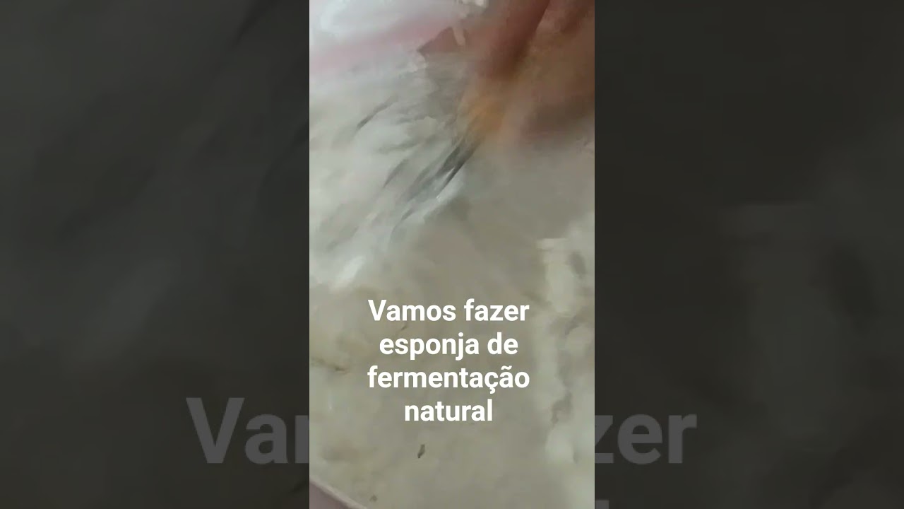 esponja de fermentação natural