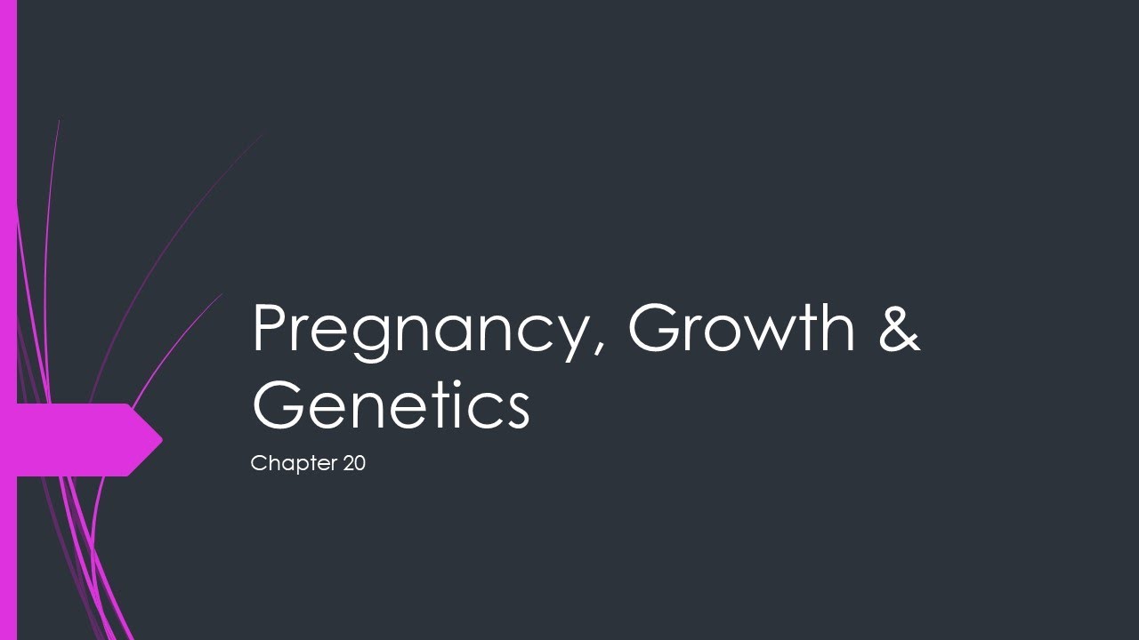 Pregnancy and Genetics Anatomy and Physiology 2