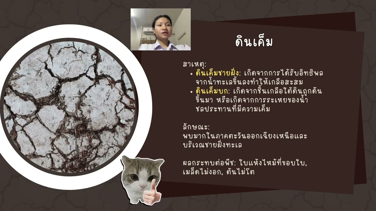 ทรัพยากรดิน 🪴
