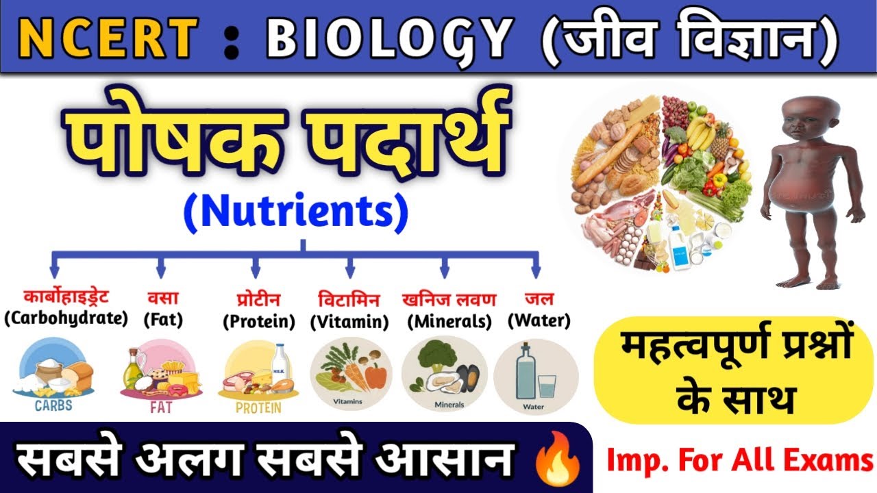 पोषक पदार्थ | Nutrients | पोषण | Carbohydrates | Protein | Fat | Vitamin | Biology | Study vines