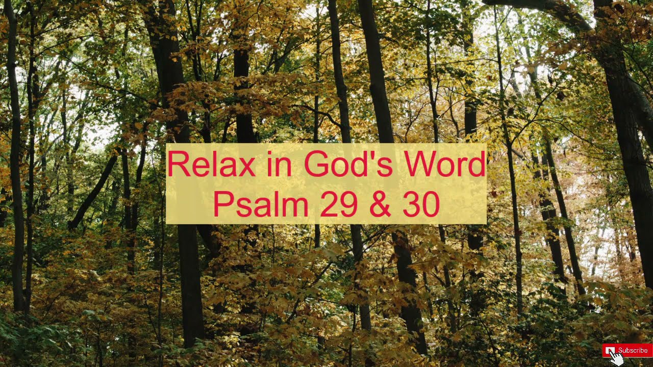 Relaxing / Meditation / Rest in God's Word / Psalms 29 and 30