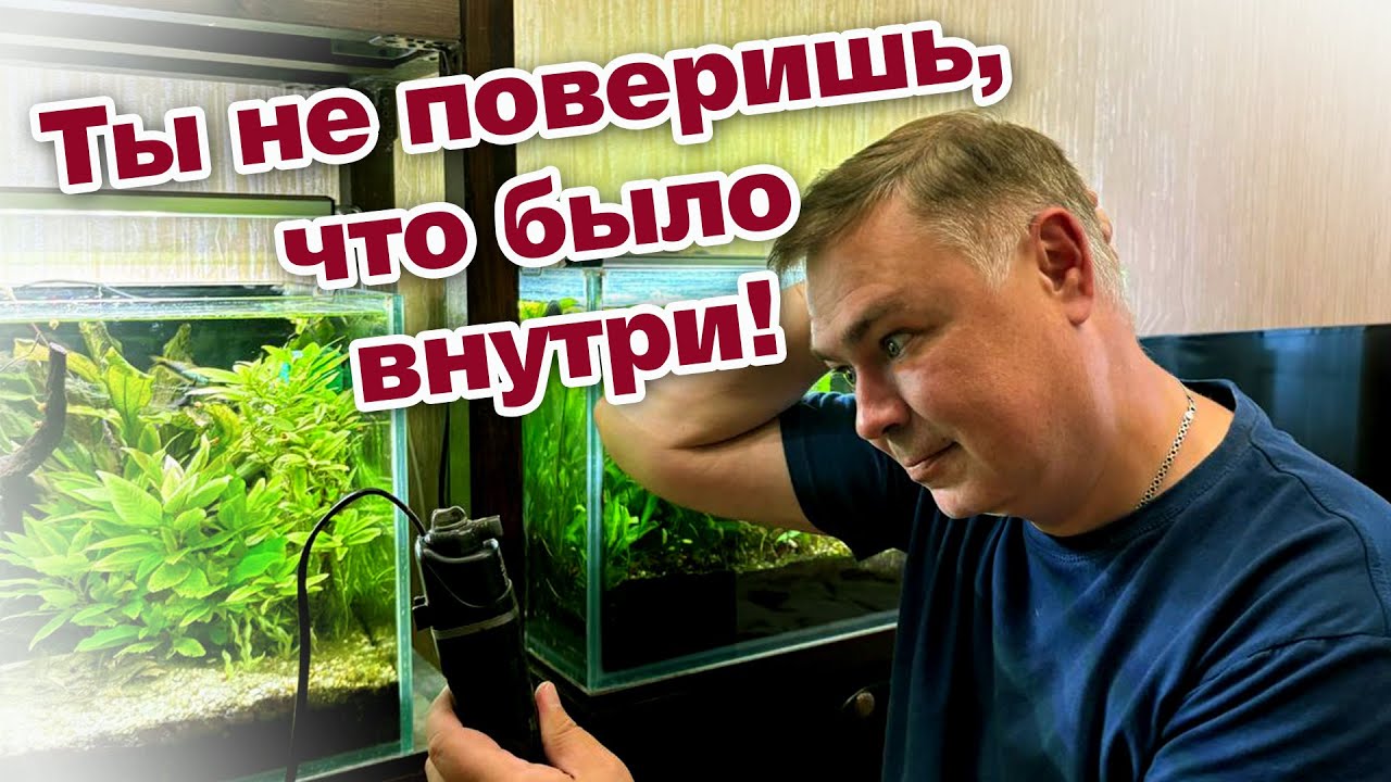 Что скрывается ВНУТРИ аквариумного фильтра? Результат меня удивил!