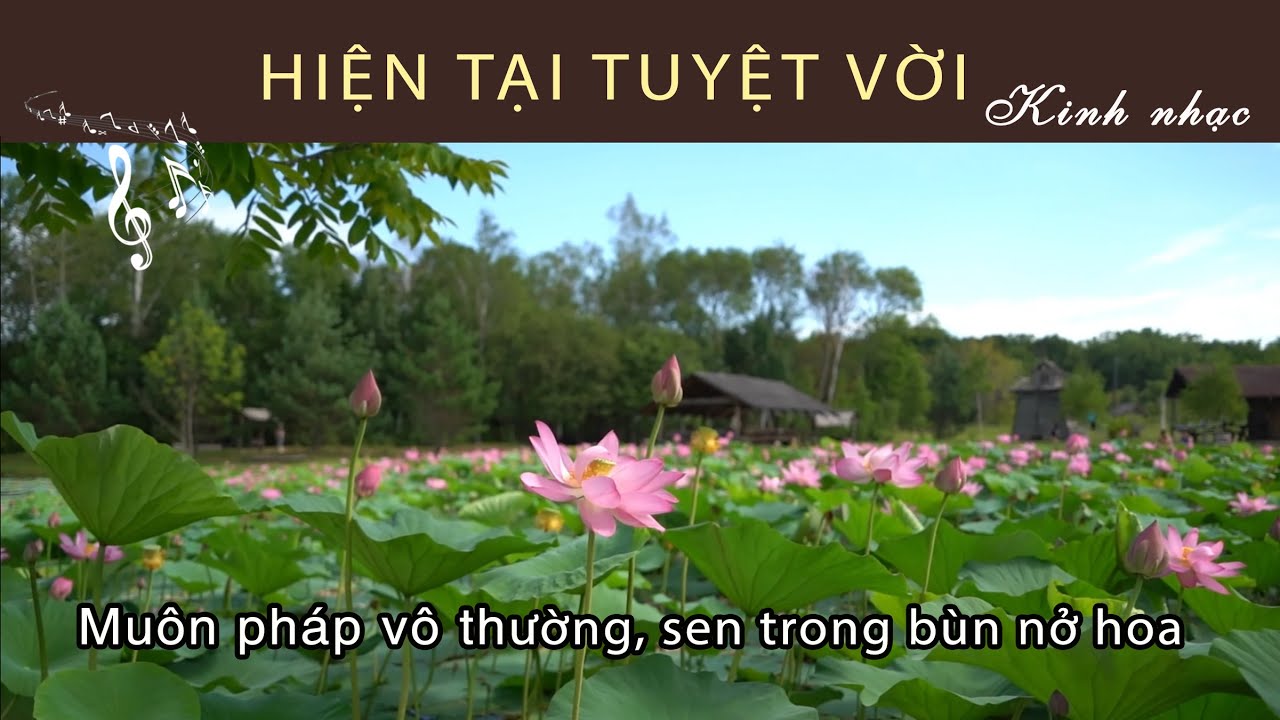 Hiện Tại Tuyệt Vời ! | Kinh quán niệm hơi thở | Kinh nhạc