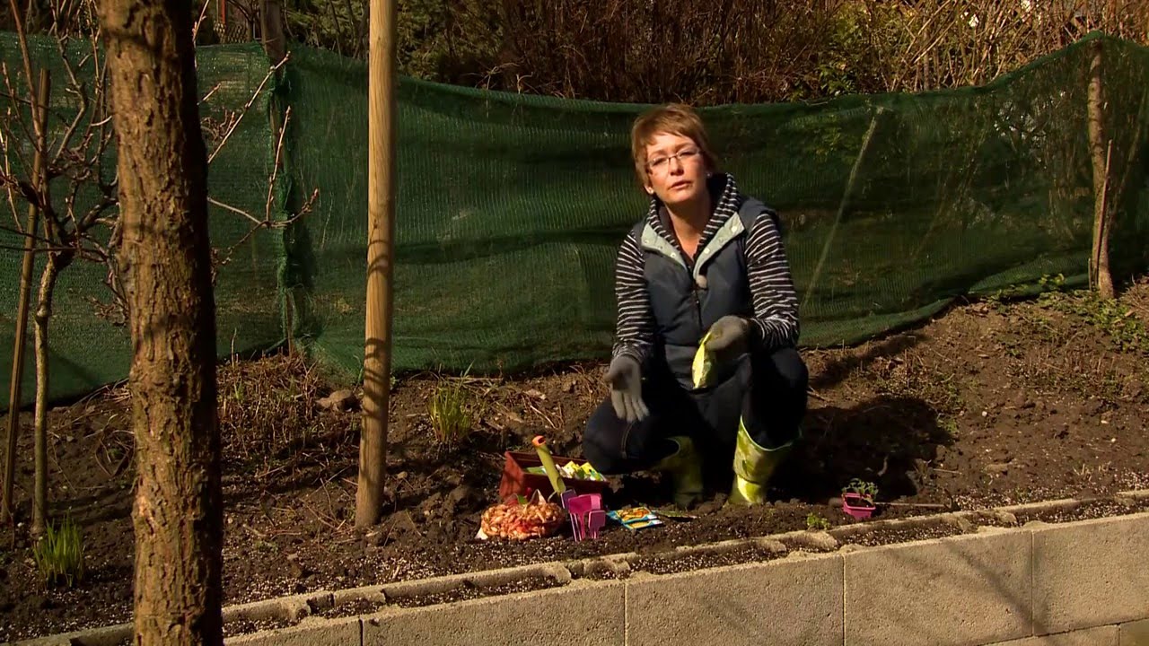 Mit mi mellé ültessünk (Allelopátia) - Kertbarátok - Kertészeti TV - műsor