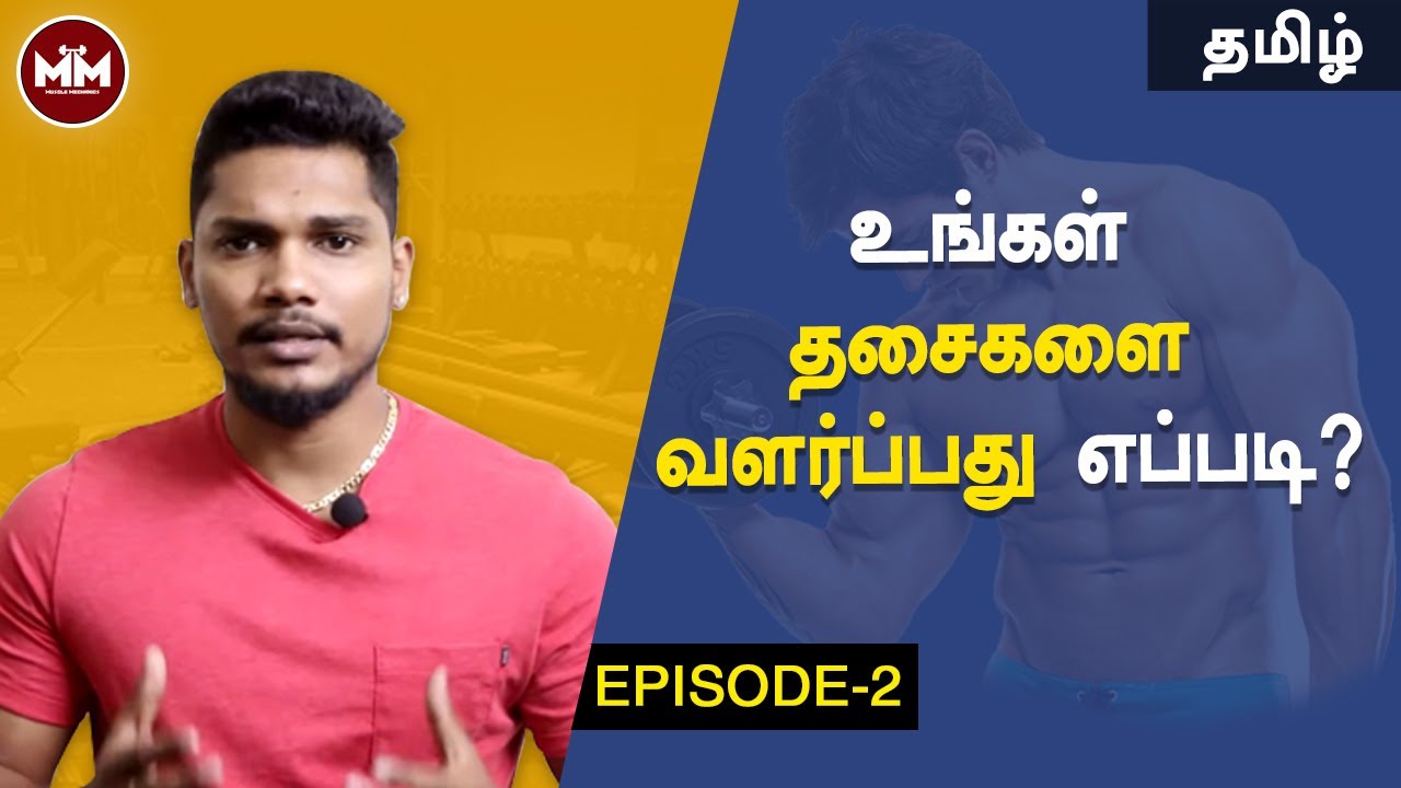 How To Build Muscle | Episode 2 | Build Your Own Workout Program | தமிழில்