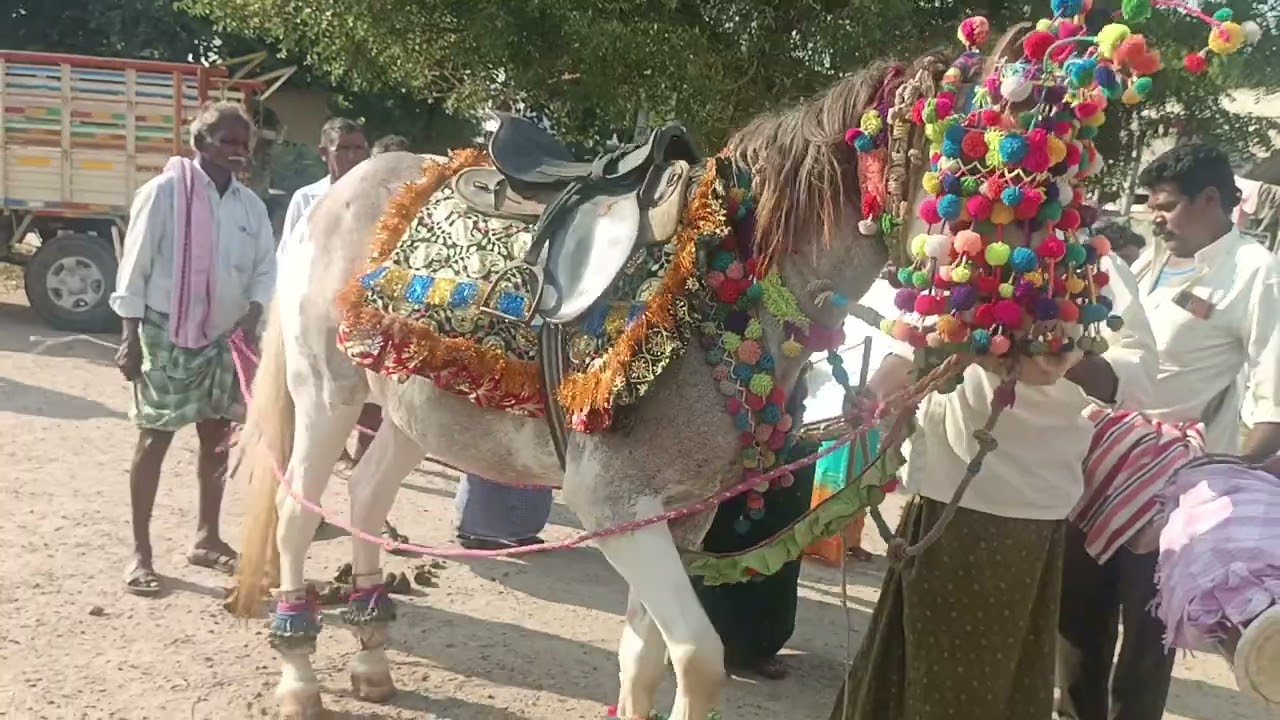 Bethapudi బేతపూడి horse 🐎🐎 dance