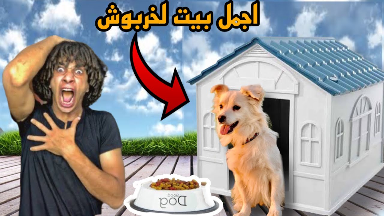 عملنا اجمل واحسن بيت للكلب خربوش وروي😍