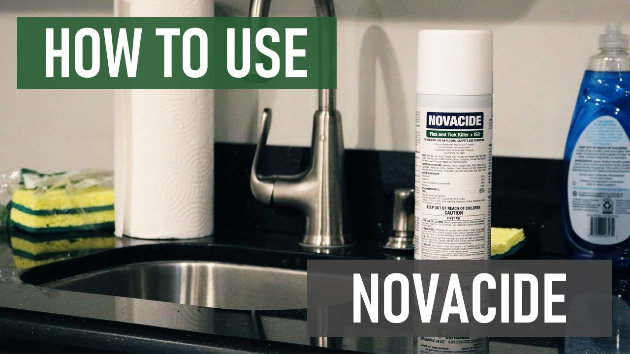 How to Use Novacide Flea & Tick Killer
