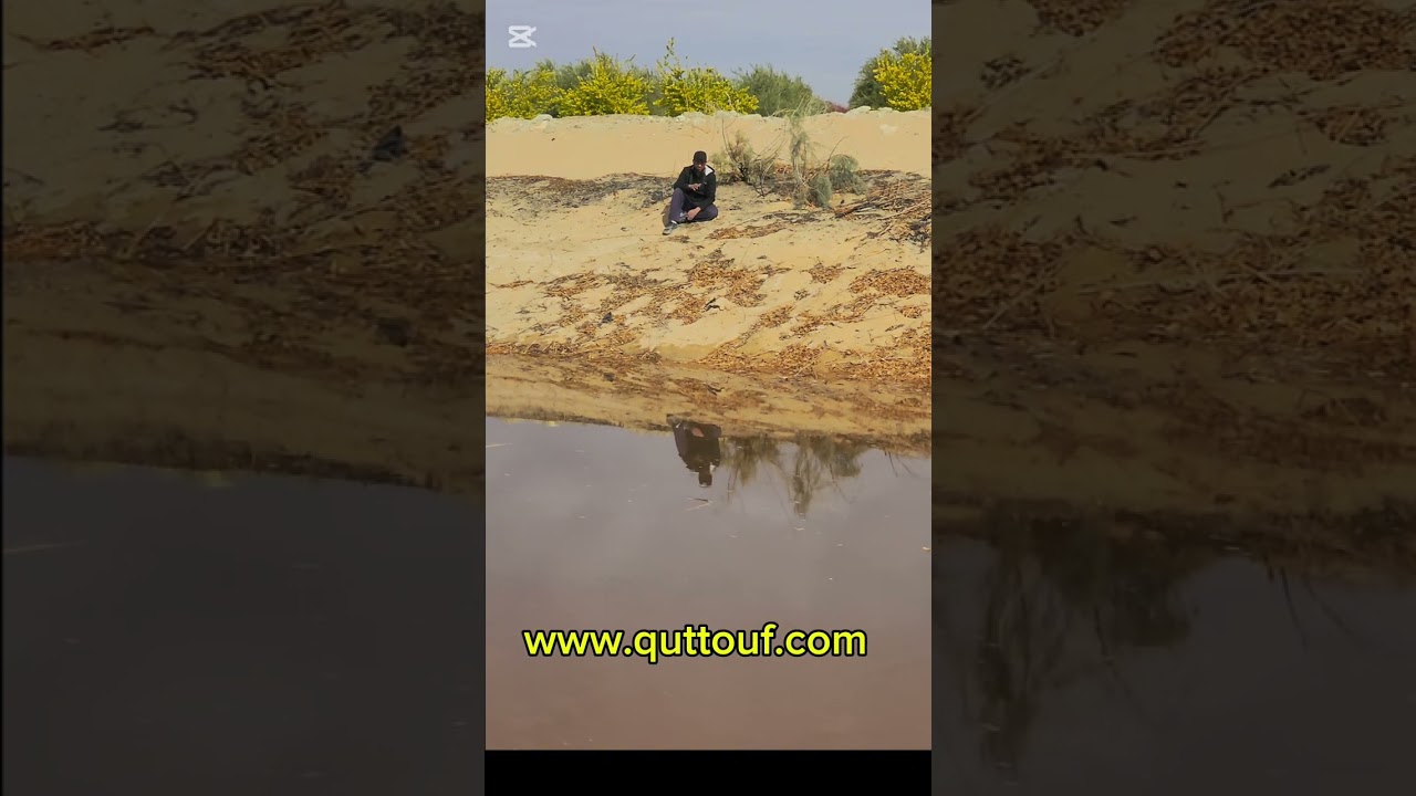  بتفكر تبدأ مشروع زراعي أو تستثمر في أرض زراعية، مزارع مكة واحدة من أهم الخيارات اللي لازم تعرف عنها