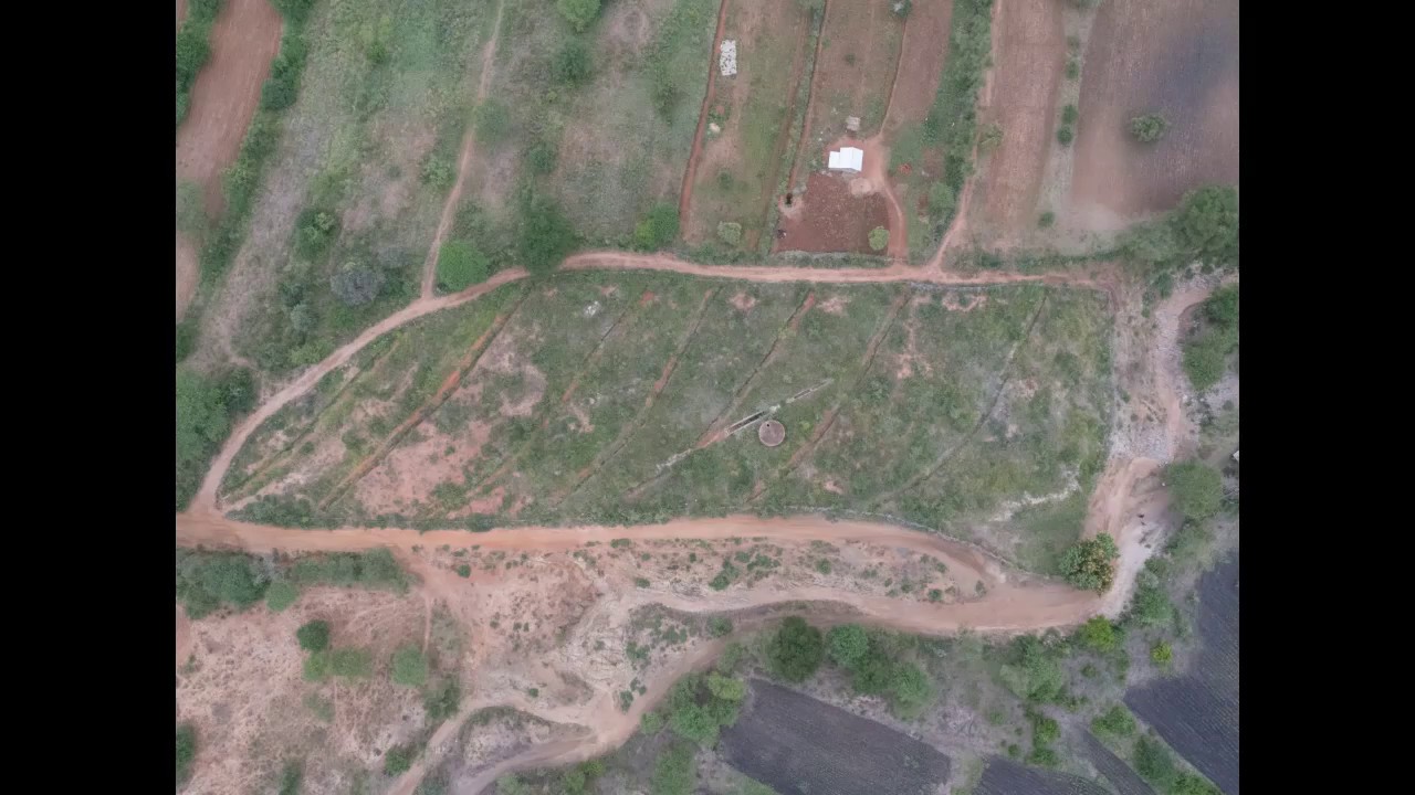 Seedballs test site - Matuu, Machakos County.