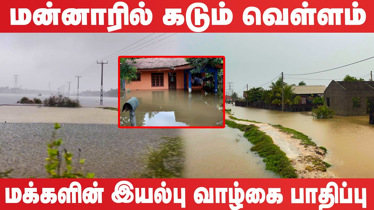 வெள்ளத்தில் மூழ்கிய Mannar | #breakingnews #flood