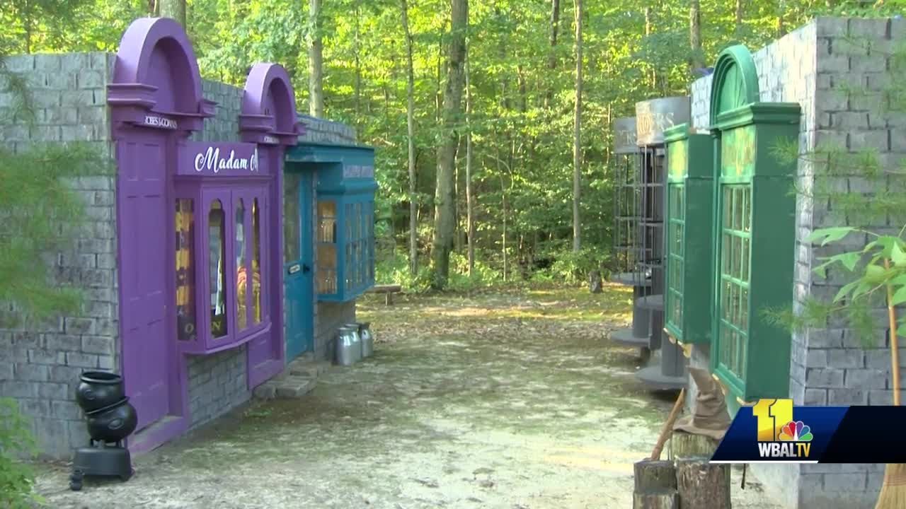 Woman turns backyard into Diagon Alley