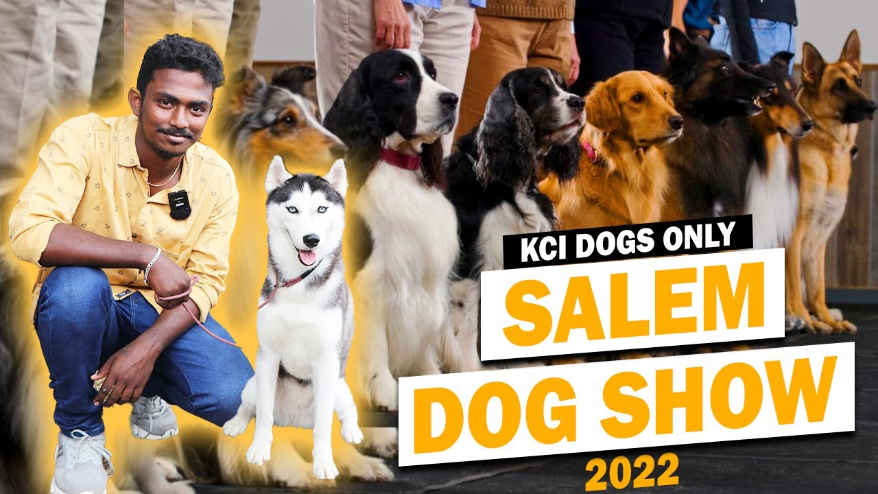 Salem Dog Show 2022 | KCI Dogs Only | தமிழ் Review #salem