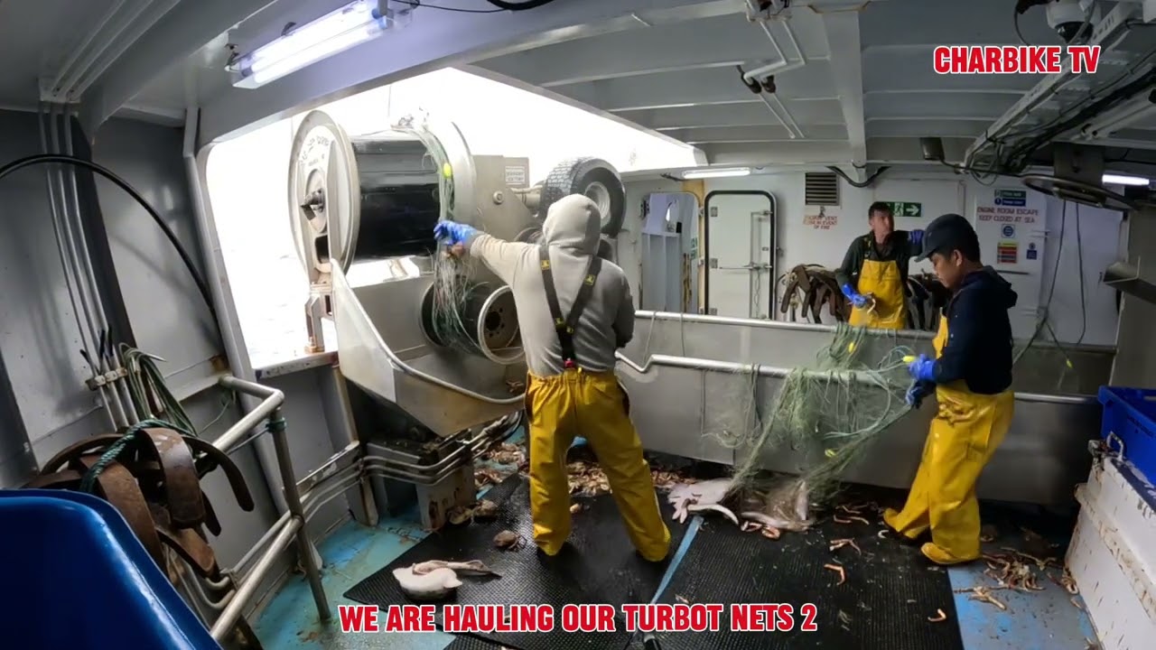 Hauling our nets @ North Atlantic/ load’s of spider crabs