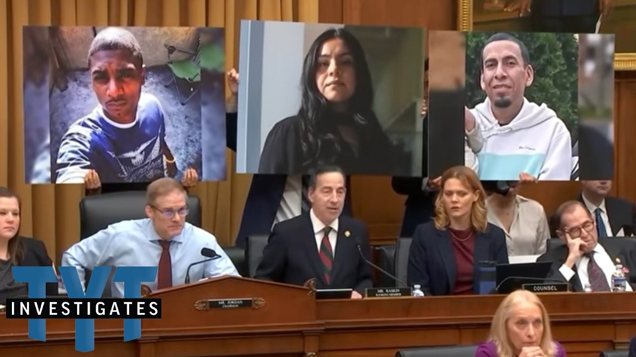 Jamie Raskin DESTROYS Pam Bondi