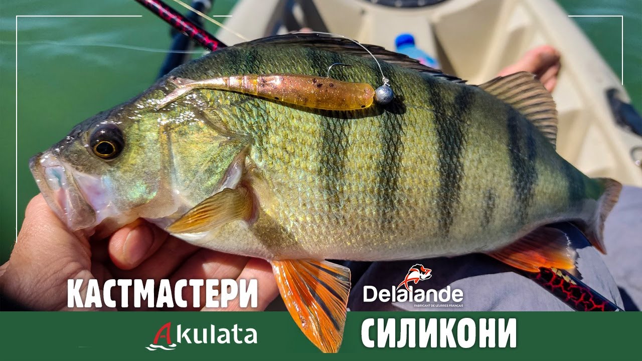 Размазващ риболов на костур с кастмастери и силикони