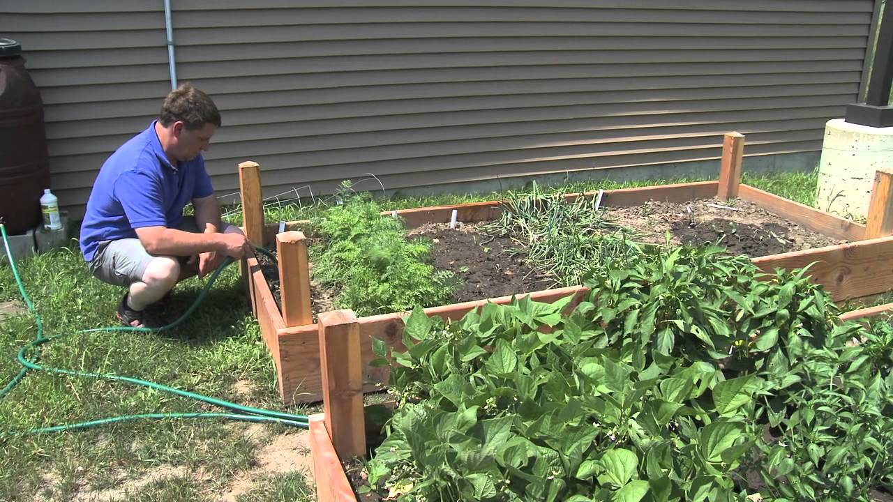 Worksite Wellness Programs